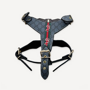 Gold Chain Leather Walking dog set inspired by Gucci view 3