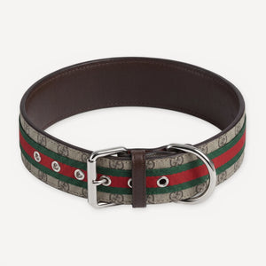 Heritage Web Leather Walking dog set inspired by Gucci view 10