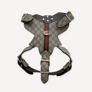 Heritage Web Leather Walking dog set inspired by Gucci view 12