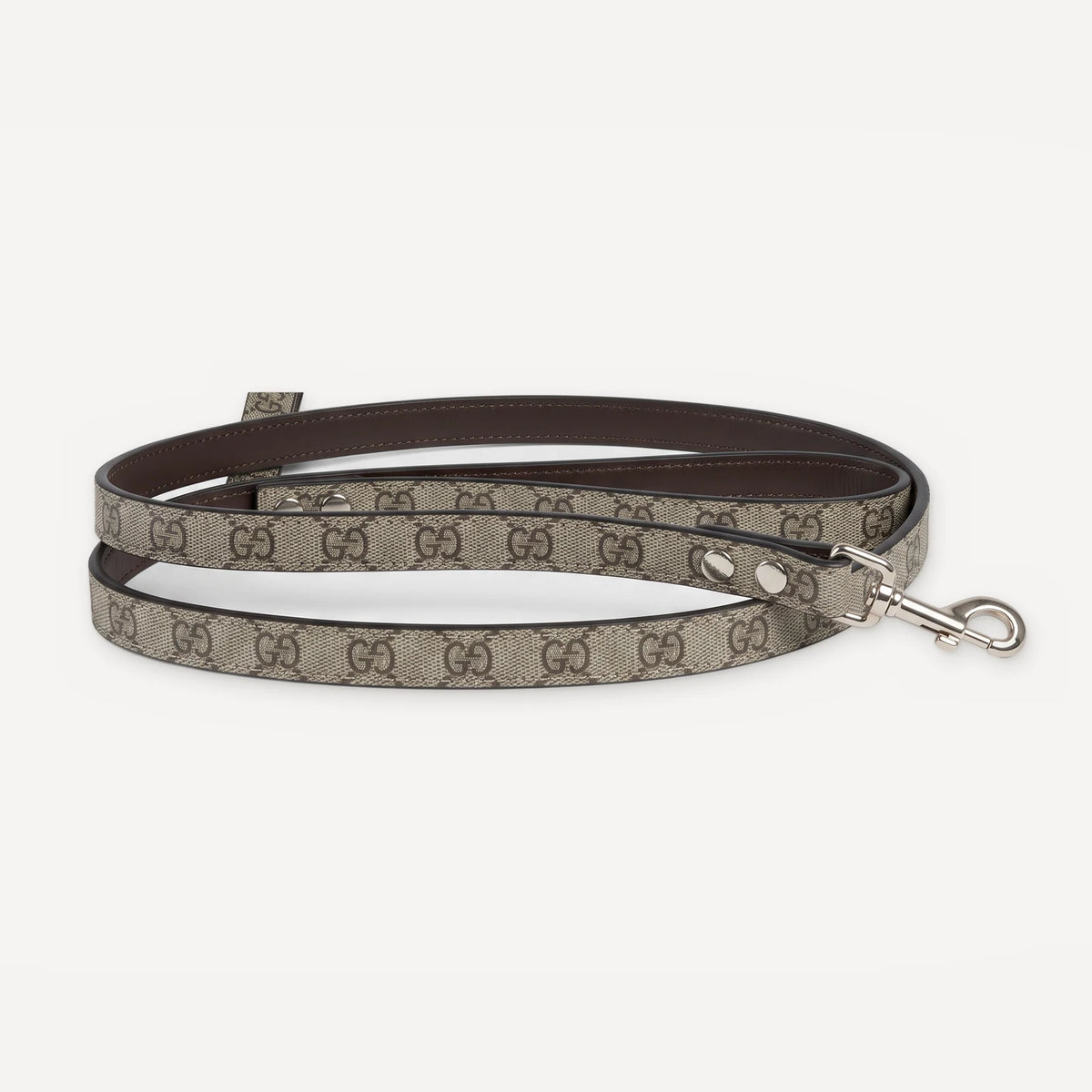 Heritage Web Leather Walking dog set inspired by Gucci view 13
