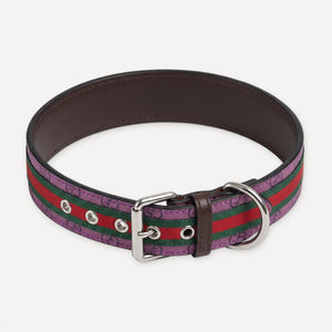 Heritage Web Leather Walking dog set inspired by Gucci view 14