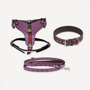 Heritage Web Leather Walking dog set inspired by Gucci view 15