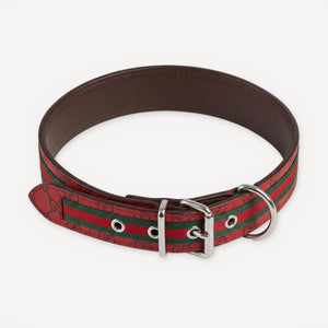 Heritage Web Leather Walking dog set inspired by Gucci view 21