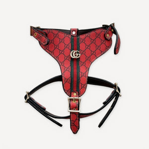 Heritage Web Leather Walking dog set inspired by Gucci view 19