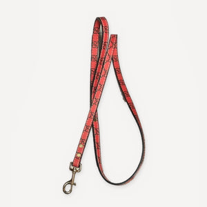Heritage Web Leather Walking dog set inspired by Gucci view 20