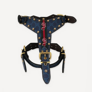 Studded Serpent Leather Walking dog set inspired by Gucci view 9