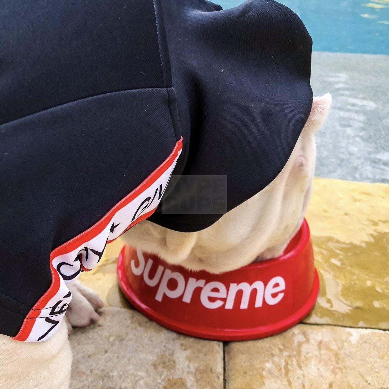 Dog paws next to red Pupreme dog bowl with white Supreme-style branding