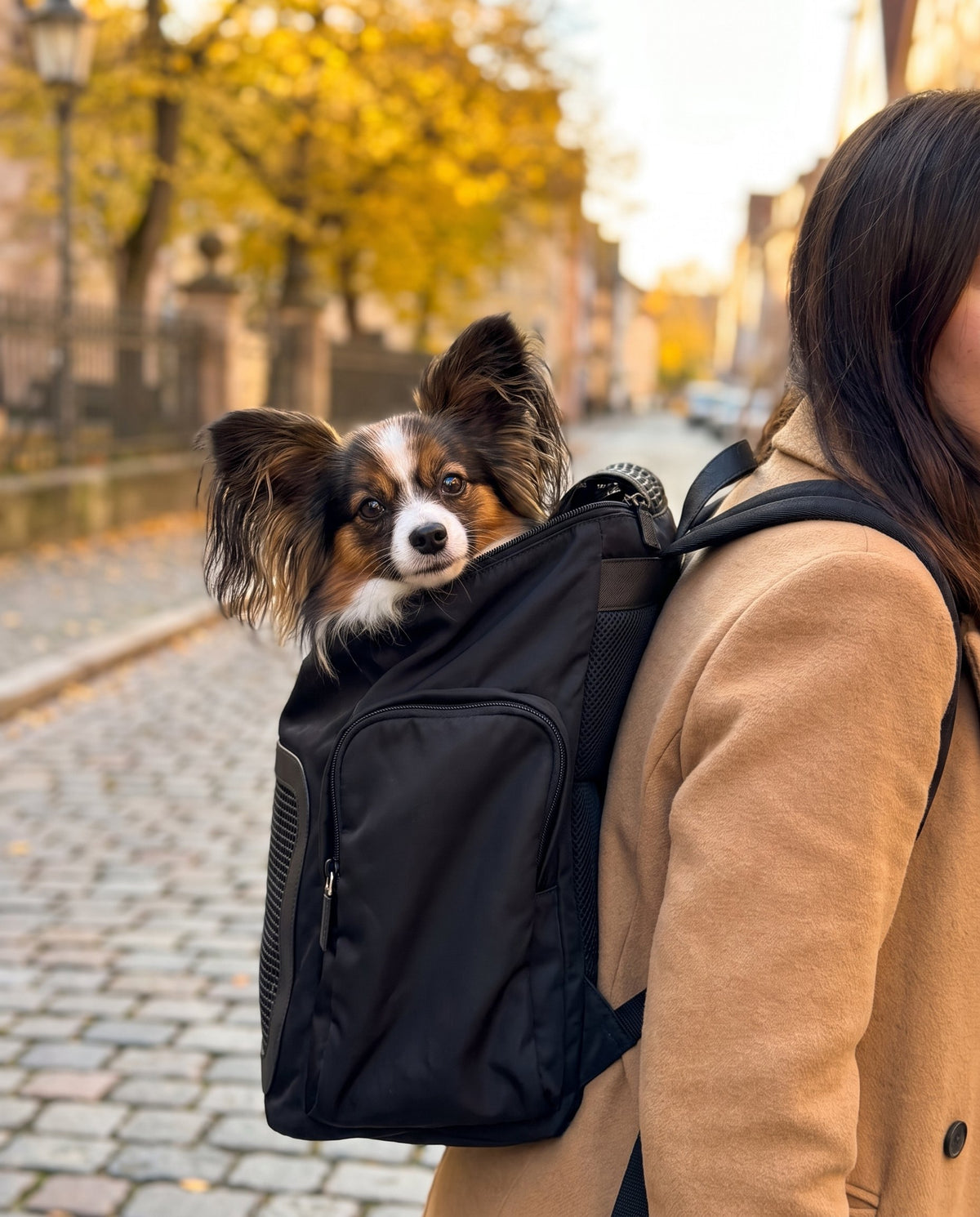 pv fall26 cat carriers