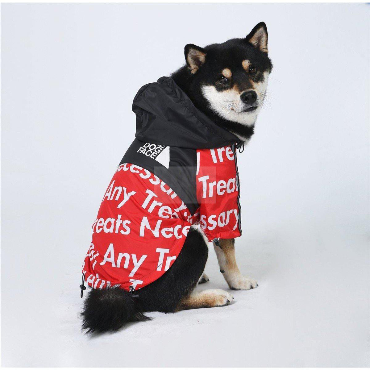 Small dog wearing red and black TDF windbreaker with hood and text graphics