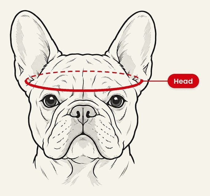 How to measure head circumference